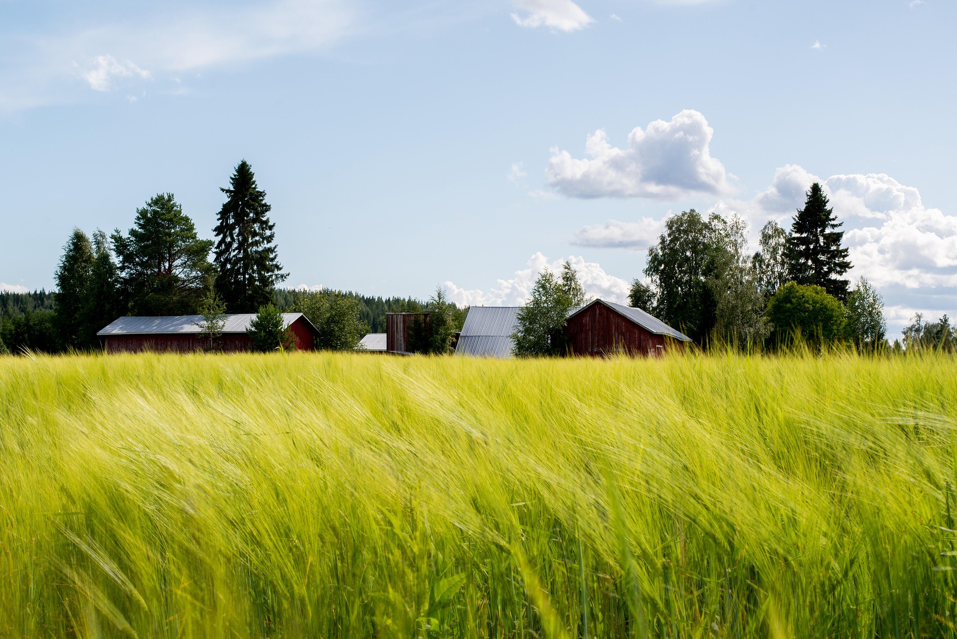 field-8139258_1920